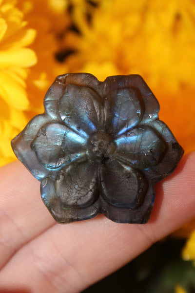 Labradorite Flower Carving|Flower Carving|Crystal Carving|Flower Crystal Carving|Crystal Flower|Labradorite Flower|Labradorite Carving