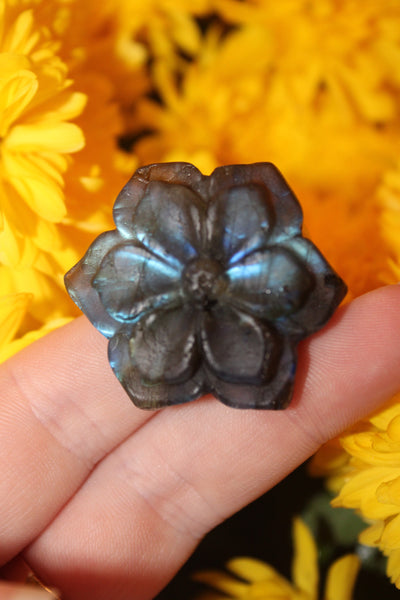 Labradorite Flower Carving|Flower Carving|Crystal Carving|Flower Crystal Carving|Crystal Flower|Labradorite Flower|Labradorite Carving