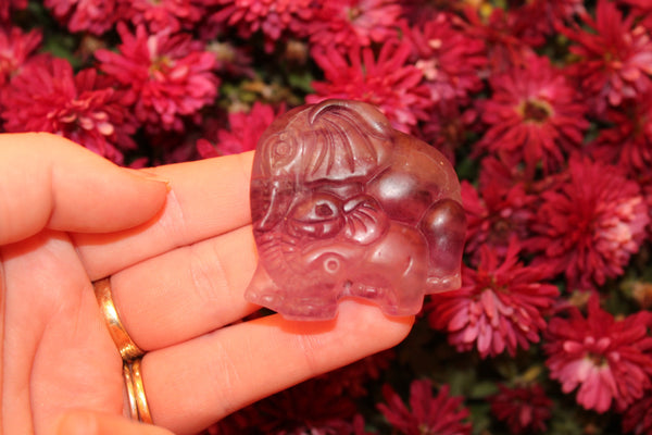 Fluorite Elephant Carving|Elephant Carving|Crystal Carving|Elephant Crystal Carving|Crystal Elephant|Fluorite Elephant