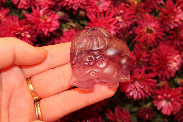 Fluorite Elephant Carving|Elephant Carving|Crystal Carving|Elephant Crystal Carving|Crystal Elephant|Fluorite Elephant