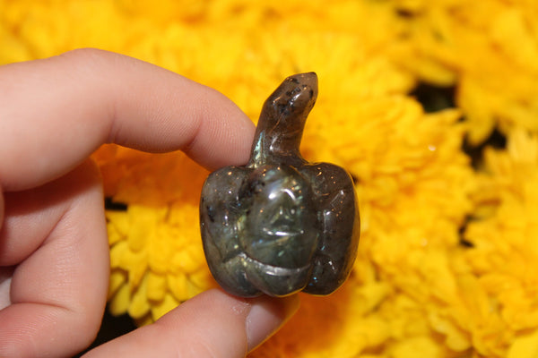Labradorite Pumpkin Carving|Pumpkin Carving|Crystal Carving|Pumpkin Crystal Carving|Crystal Pumpkin|Labradorite Jack-O'-Lantern
