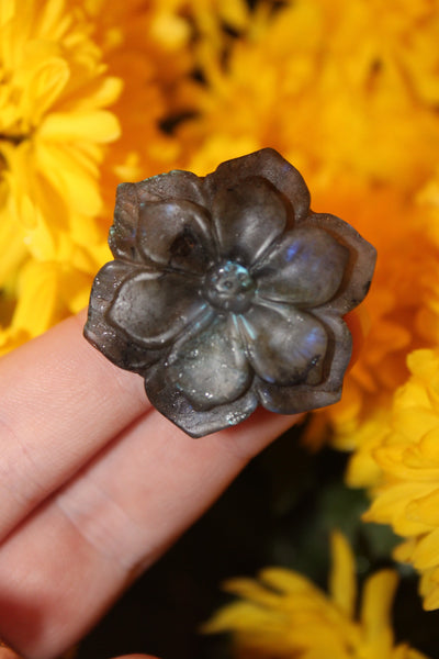 Labradorite Flower Carving|Flower Carving|Crystal Carving|Flower Crystal Carving|Crystal Flower|Labradorite Flower|Labradorite Carving